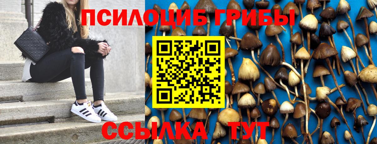 Галлюциногенные грибы мухоморы Фролово