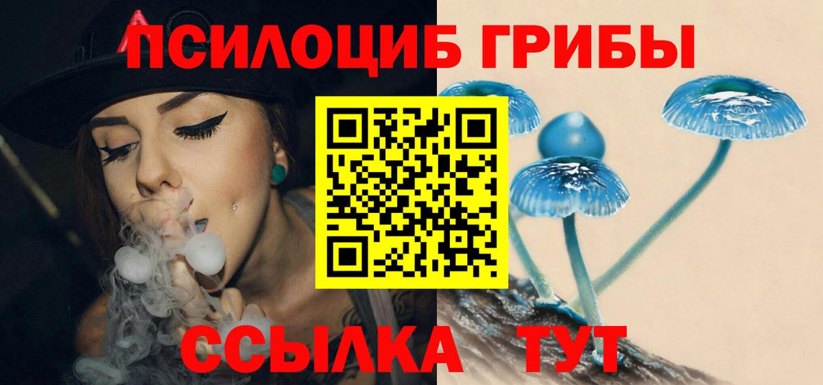 Псилоцибиновые грибы мицелий  Вход с VPN  Галлюциногенные грибы прущие грибы  Фролово 