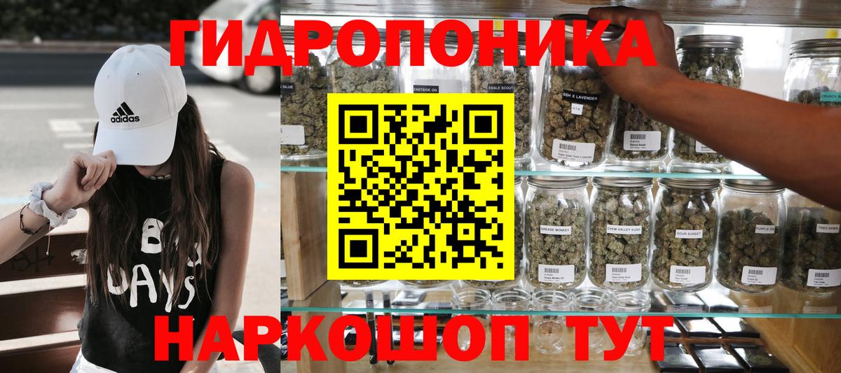 Марихуана сатива Фролово